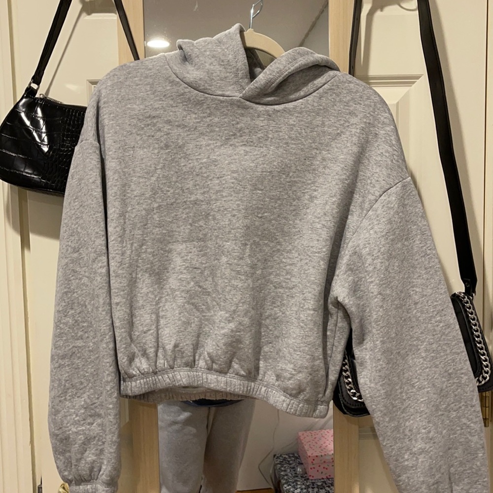 Zara Cropped Hoodie